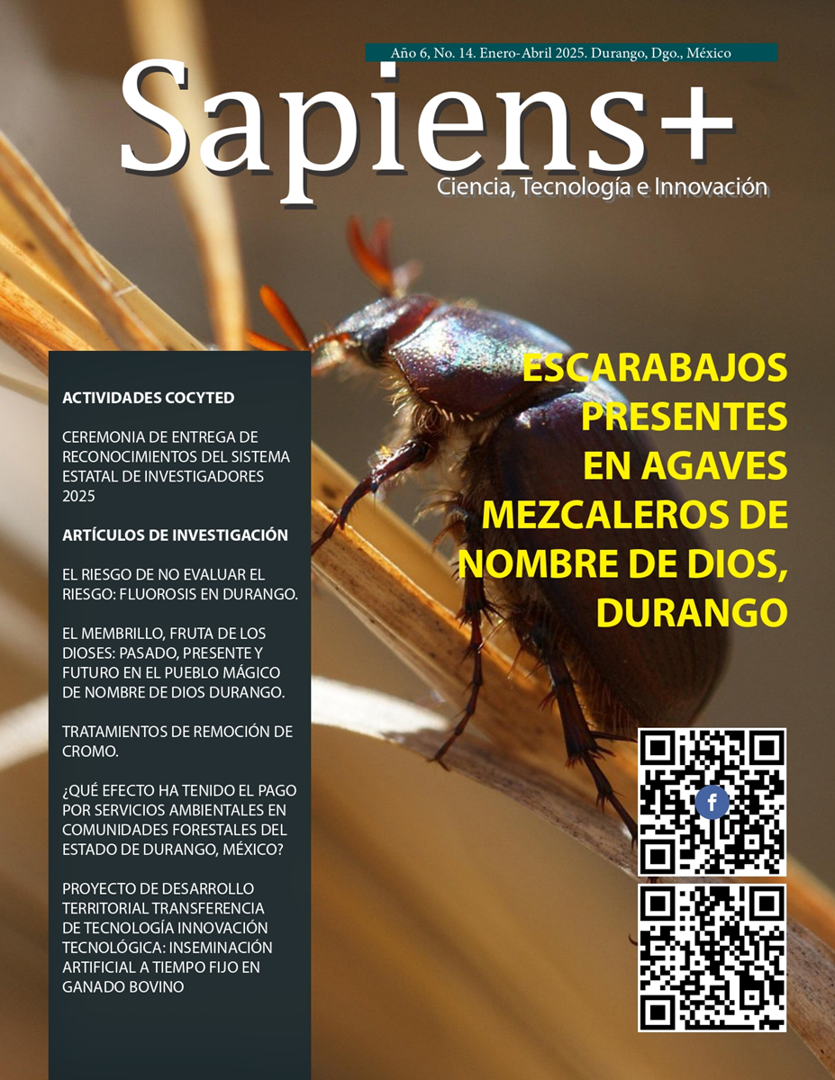 Año 5, No.14
