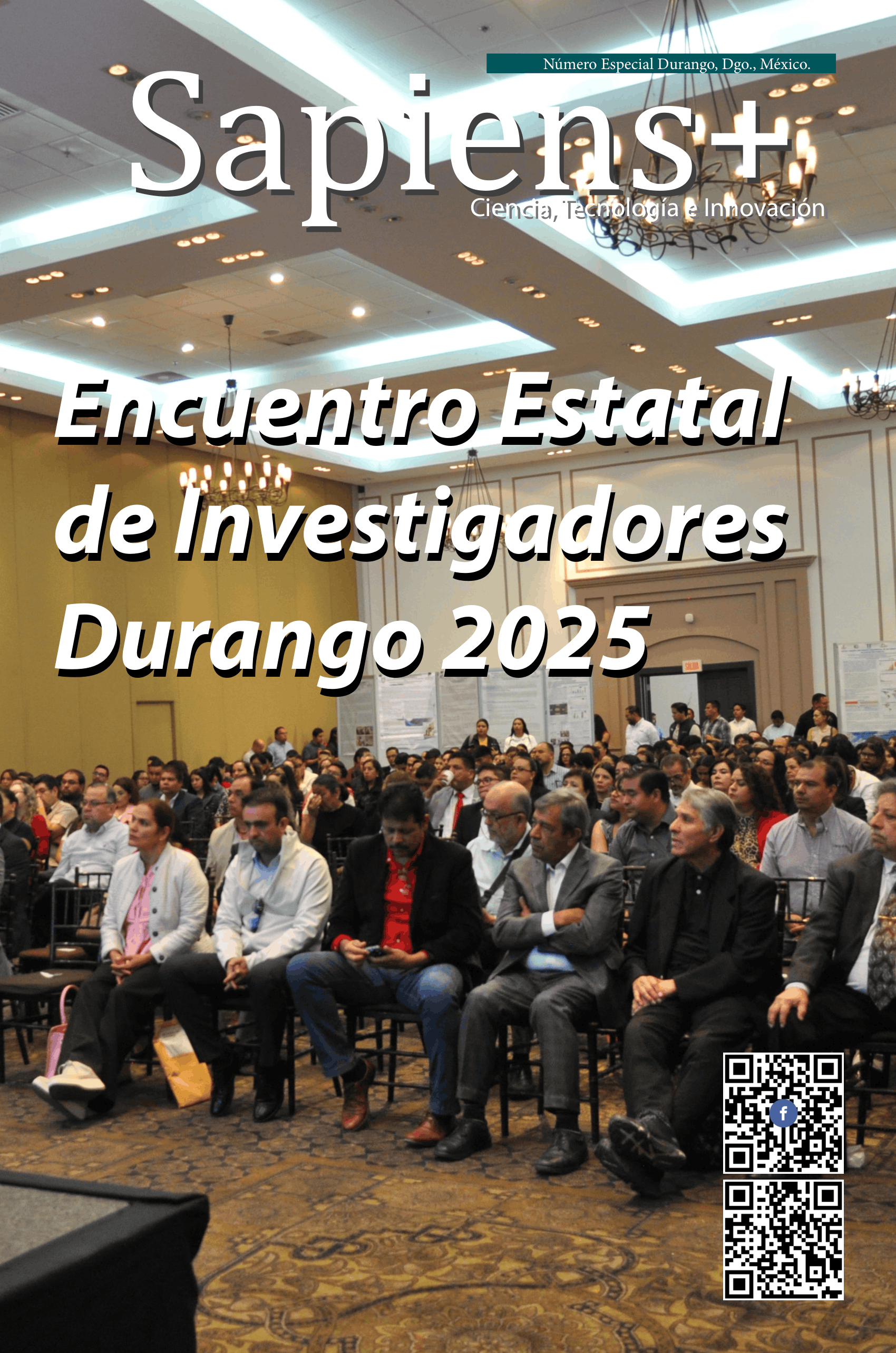 Año 7, No.17.5